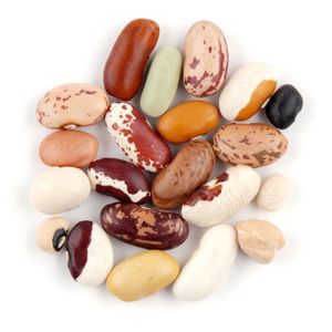 Adzuki, Appaloosa, Black Beans, Cannellini, Cranberry (Borlotti), European Soldier, Flageolet, French Navy, Garbanzo, Great Northern, Jacob’s Cattle/Trout, Kidney Light Red, Lima Baby Butter, Mayacoba (Canary), Peas Blackeye, Pink Beans, Pinto, Rattlesnak